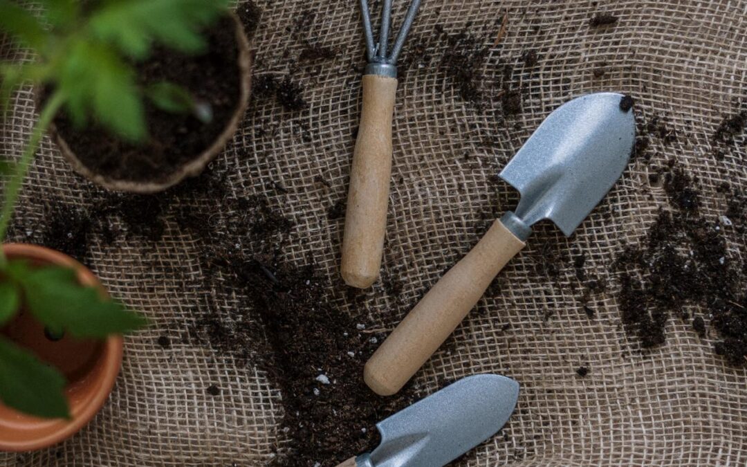 The Proper Methods For Storing Potting Soil, Grass Seed, & Fertilizer